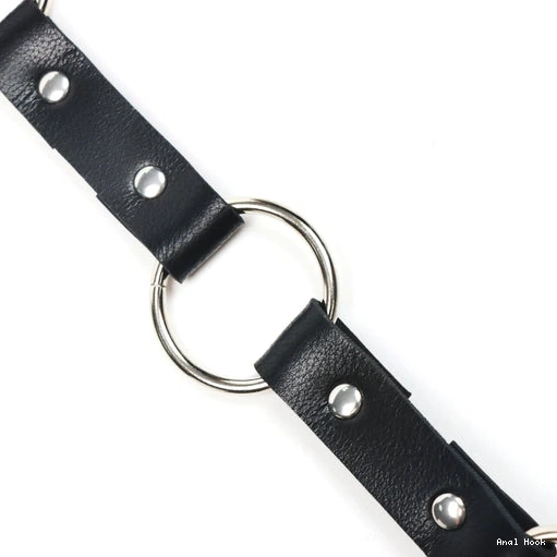 Anal 5853 EverydayUse Kinky Collar and with Leash Hook 0414